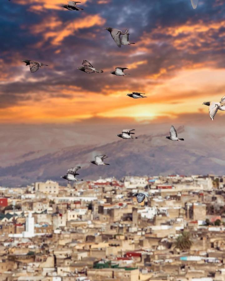 Riad Dar Tahri & Spa Fez Bagian luar foto