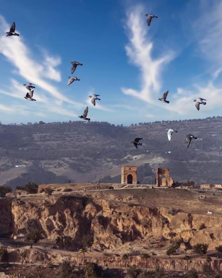 Riad Dar Tahri & Spa Fez Bagian luar foto